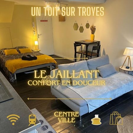 Le Jaillant - Wifi - Centre Ville Historique - Proche Gare Троа Екстериор снимка